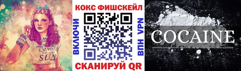 где продают   Нолинск  КОКАИН FishScale 