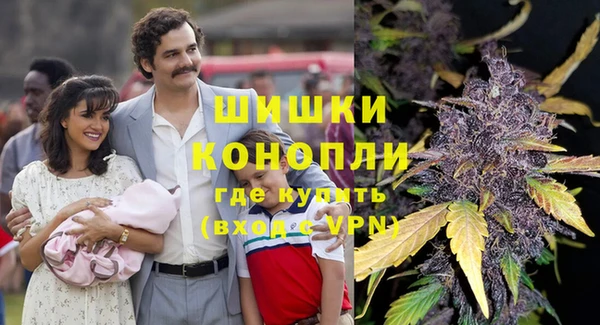 PSILOCYBIN Липки