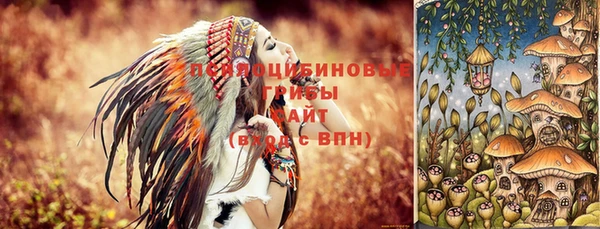 PSILOCYBIN Липки