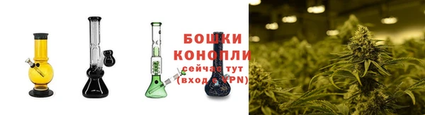 PSILOCYBIN Липки