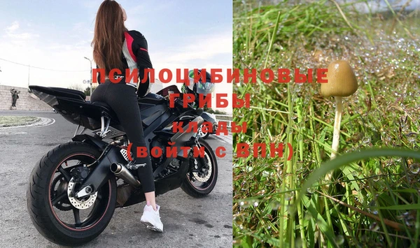 PSILOCYBIN Уссурийск