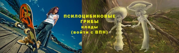PSILOCYBIN Липки
