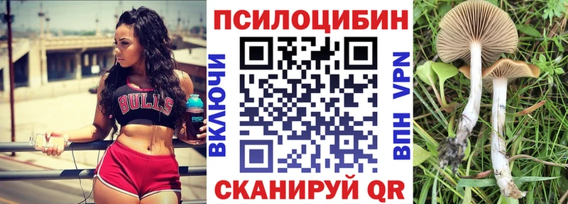 KRAKEN ONION Нолинск Псилоцибиновые грибы GOLDEN TEACHER